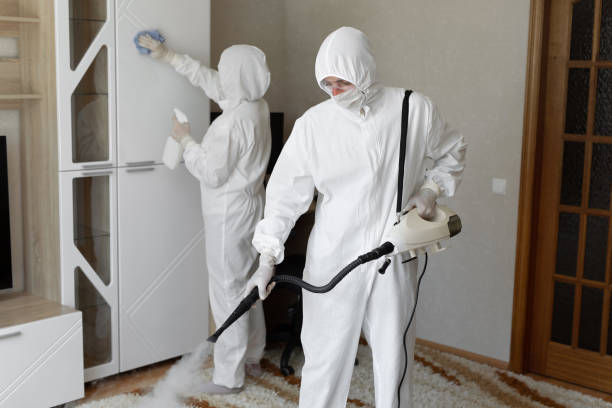 Affordable Unattended Death Cleanup solutions in Forest, OH